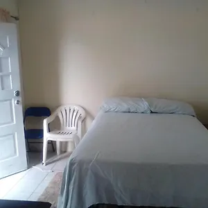 Cozy Queen Court Apt Constant Spring Road Apartment Kingston